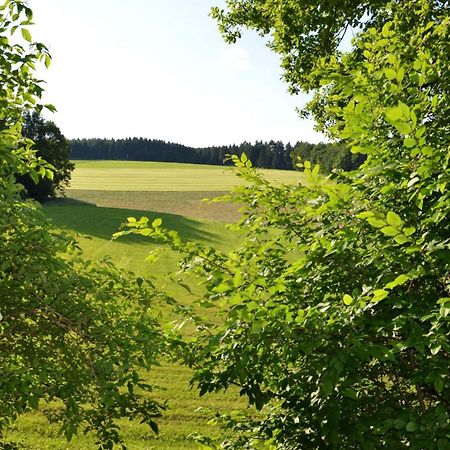 Das Ferienhaus Mondschein Im Land Der Tausend Berge - Erholung Pur In Idyllischer Alleinlage Lennestadt Exteriör bild