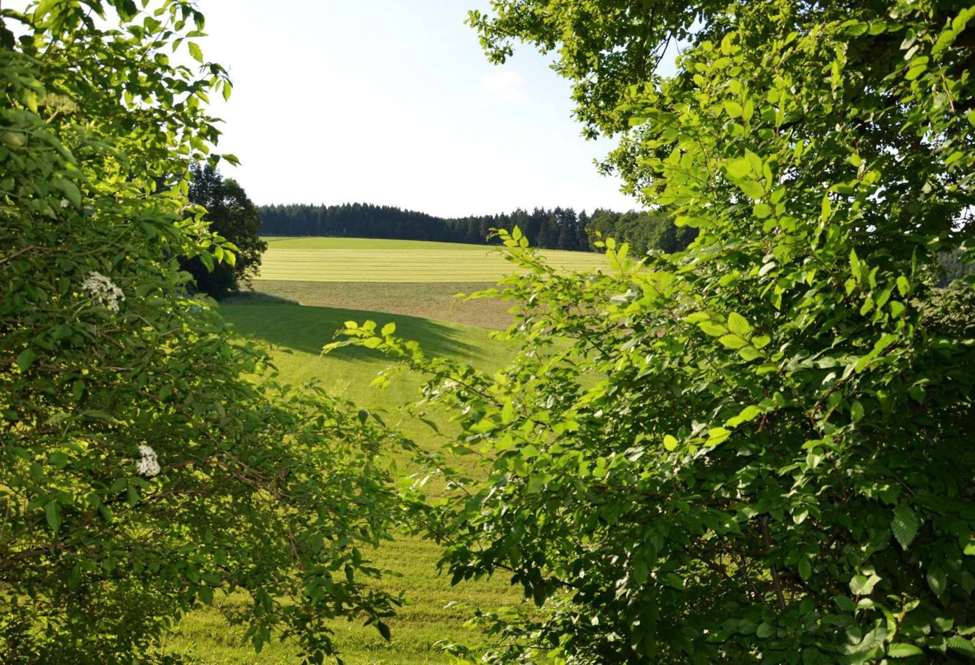 Das Ferienhaus Mondschein Im Land Der Tausend Berge - Erholung Pur In Idyllischer Alleinlage Lennestadt Exteriör bild